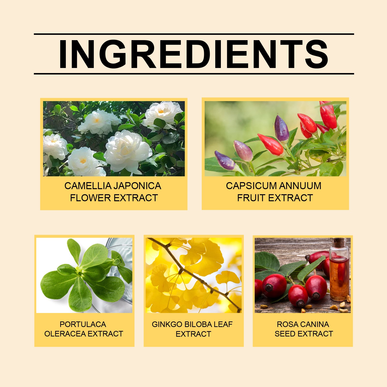 Ximonth Body Shaping Stick Slimming, Toning, Firming, Showing Off Your Figure, Keeping Your Belly In Shape And Keeping Your Body Light