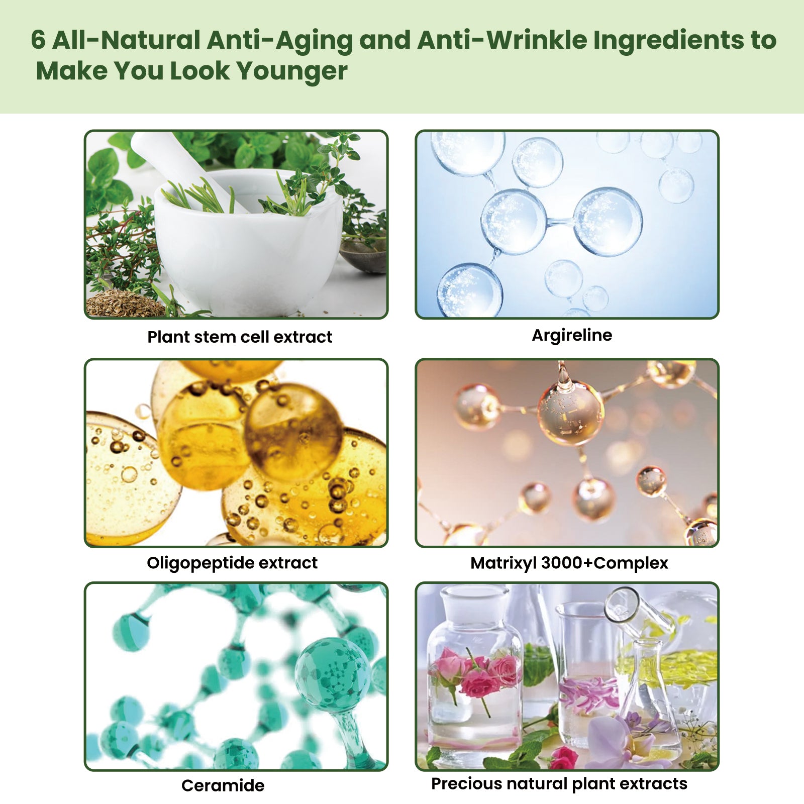 EELHOE Ceramide Firming Essence For Deep Curing, Moisturizing, Firming And Smoothing Wrinkles